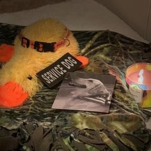 Meet your Posher, Bryce